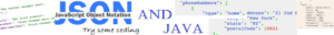 JSON and Java