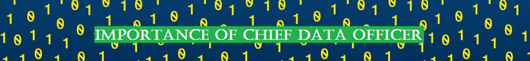 Importance of Chief Data Officer